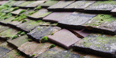 Greenfield roof repair costs